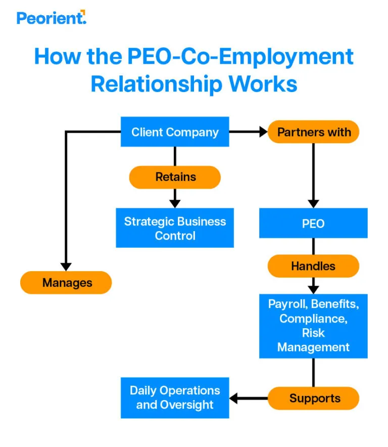 How the PEO-Co-Employment Relationship Works